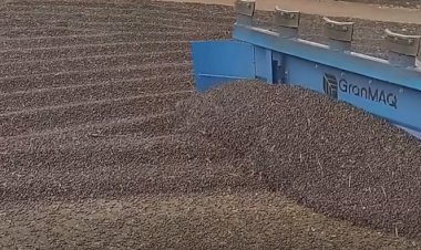 Produtor rural de 75 anos morre em acidente com trator durante manuseio de café em Nova Resende