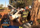 Batida de carro contra eucalipto deixa um morto e três feridos em Ibitinga