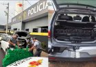 Quase 600 quilos de skunk e maconha são apreendidos em Bauru e Pirajuí