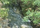Baririenses relatam forte cheiro de esgoto em áreas que margeiam o Córrego do Sapé e levantam suspeita de crime ambiental