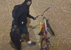 Suspeito de espancar morador de rua é preso em Bauru