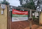 Vereadores divergem sobre contratação de nova ONG para abrigar animais em Bariri