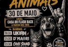 1º Rock pelos Animais é neste sábado em prol do Focinho Carente