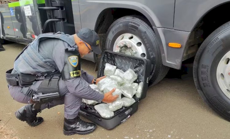Paraguaio é detido com 18 quilos de skunk na Marechal Rondon