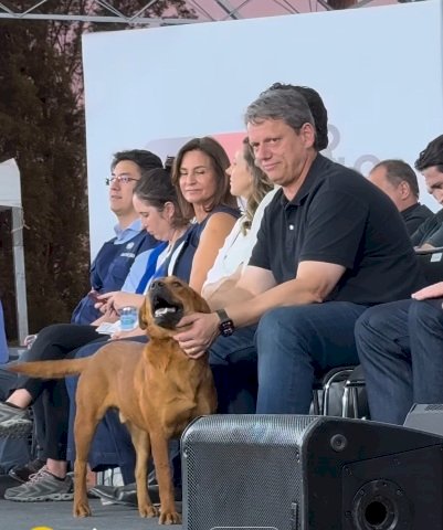 Tarcísio sanciona lei que autoriza sepultamento de cães e gatos em jazigos da família em SP