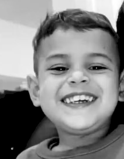 Caso de menino de dois anos morto por pitbull da família reacende debate sobre criação da raça; saiba o que diz a lei