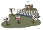 #Edição 19