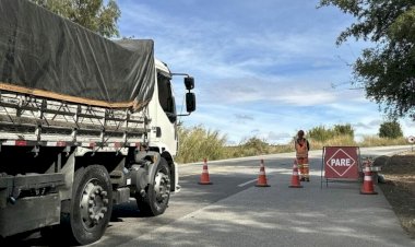 Concessionária remove árvores de risco na BR-146 em Guaxupé neste fim de semana