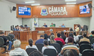 Câmara de Guaxupé aprova lei que garante entrada de cães-guia em locais públicos