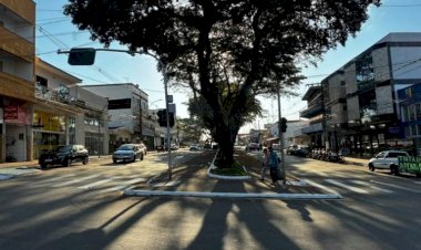 Avenida Dona Floriana passará por grande reforma nos canteiros centrais
