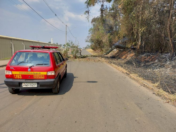 Incêndio queima 17 hectares de mata nativa em apenas um dia, em Nova Resende