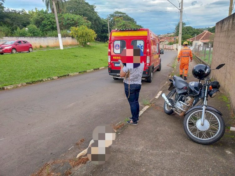 Motociclista atropela cachorro e fica ferida em Guaxupé