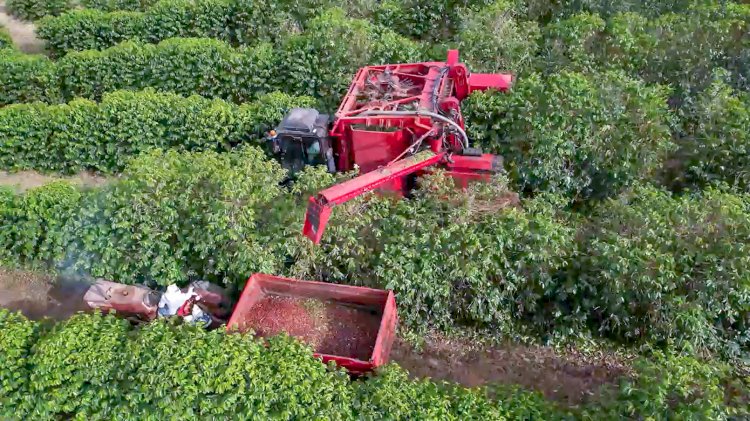 Cooxupé promove o 5º Fórum Café e Clima no dia 27 de julho