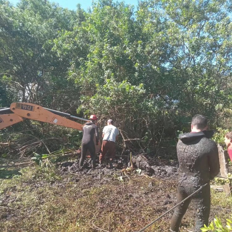 Cavalo é resgatado de brejo pelo Corpo de Bombeiros em Guaxupé