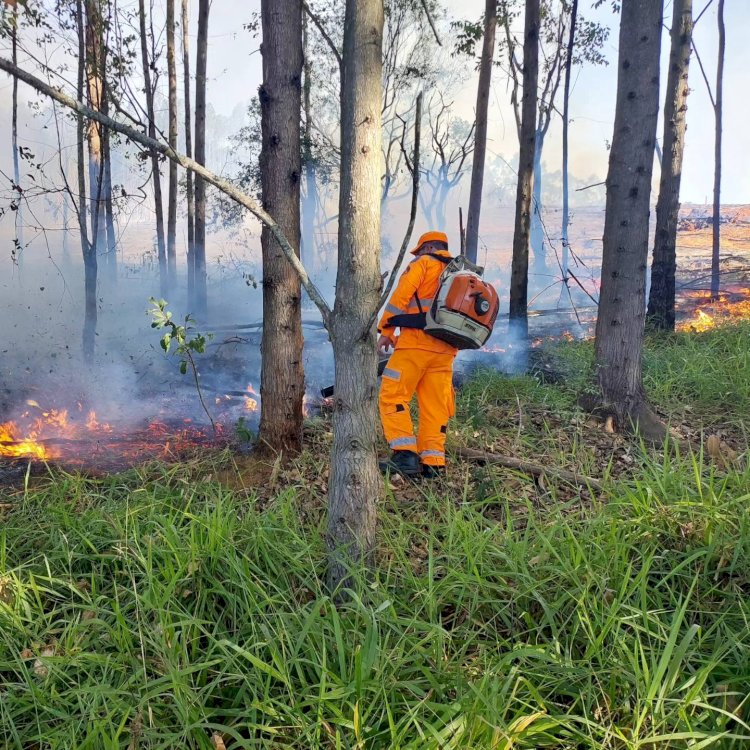 Incêndios devastam vegetação em Muzambinho e mobilizam Bombeiros e Defesa Civil