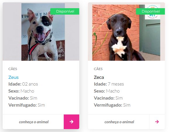 Prefeitura de Guaxupé cria página oficial para adoção de cães e gatos