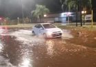 Temporal com ventos de 60 km/h alaga ruas e causa queda de árvores em Bauru
