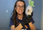 O Cogumelo Doce valoriza sabores brasileiros em campanha especial de Páscoa