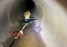 Gato preso por 48 horas em bueiro mobiliza Corpo de Bombeiros, Saemba, Infraestrutura, Focinho Carente e voluntários