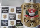 Polícia Civil conclui investigação sobre suposto estelionato emocional e financeiro em Bauru e Iacanga