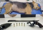Homem mata cão a tiros após animal cavar buraco em calçada