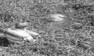 Empresário impede afogamento de cavalo até chegada de resgate em pesqueiro de Macatuba