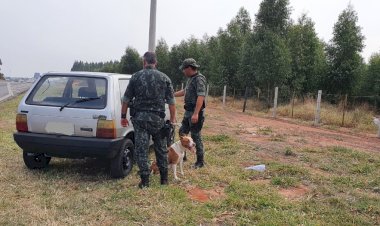 Criminosos abandonam veículo furtado com pitbull dentro em Bauru