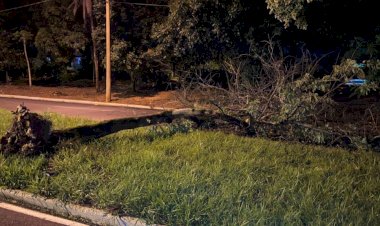 Temporal com granizo causa estragos em Bauru
