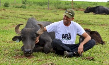 ONG deixa de apresentar documentos solicitados pela Justiça e perde tutela de búfalas vítimas de maus-tratos em Brotas