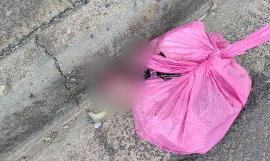 Fetos de gêmeos são encontrados dentro de sacola plástica em Torrinha; Polícia investiga crime de aborto