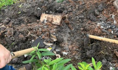 Desaparecido é achado enterrado em brejo, com sinais de tortura em Jaú