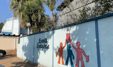 “Bebedouro está entupido de pena e fezes”, diz aluno da Ephigênia; Poda de árvores ou iluminação seriam soluções para conter infestação de pombos