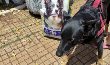 Nova Bariri terá ultimo sábado do mutirão de vacinação contra a raiva animal