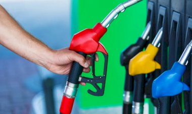 Tribunal de Contas autoriza sequência à licitação de combustíveis após Prefeitura de Bariri provar legalidade do certame