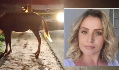 Motociclista atinge cavalo, sofre queda e morre atropelada por carro