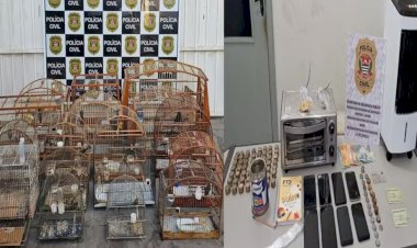 Apreensão de pássaros em cativeiro, drogas e produtos furtados termina com prisão em Iacanga