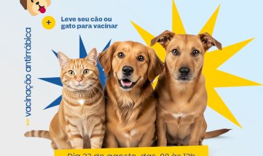 Bariri realiza campanha de vacinação antirrábica para cães e gatos neste sábado