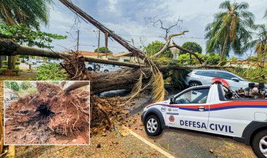 Vendaval deixa rastro de destruição em Bariri e grave ocorrência de adolescentes atingidas por árvore oca acende alerta: Meio Ambiente inicia vistoria ambiental e avalia árvores condenadas, com auxílio da Defesa Civil e Infraestrutura