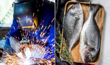 Senai Bariri abre inscrições para cursos de soldagem e processamento de peixes