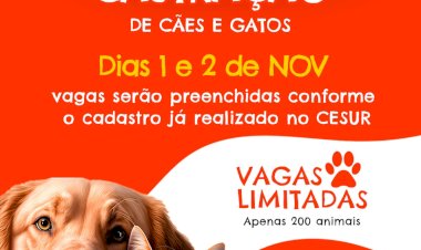 Boraceia promove mutirão de castração no próximo final de semana