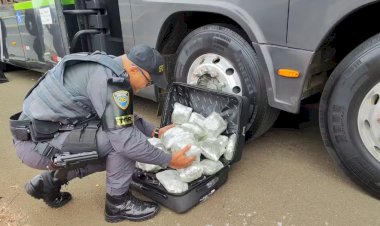 Paraguaio é detido com 18 quilos de skunk na Marechal Rondon