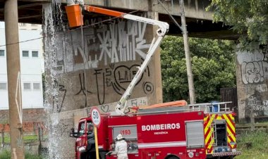 Avó e netos são atacados por abelhas em Bauru