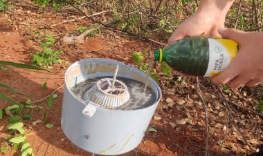 Armadilhas biológicas do tipo “papa-moscas” são instaladas em bairros de Bariri