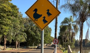 Setor de trânsito instala placas de advertência no Lago de Bariri e alerta motoristas para travessia de patos e gansos