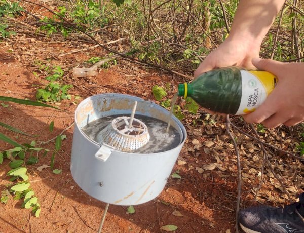 Armadilhas biológicas do tipo “papa-moscas” são instaladas em bairros de Bariri