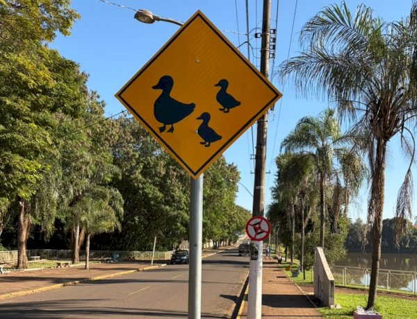 Setor de trânsito instala placas de advertência no Lago de Bariri e alerta motoristas para travessia de patos e gansos