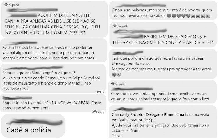 Caso de maus-tratos contra cão revolta e população de Bariri cobra autoridades; “Bariri tem delegado?”, questiona internauta