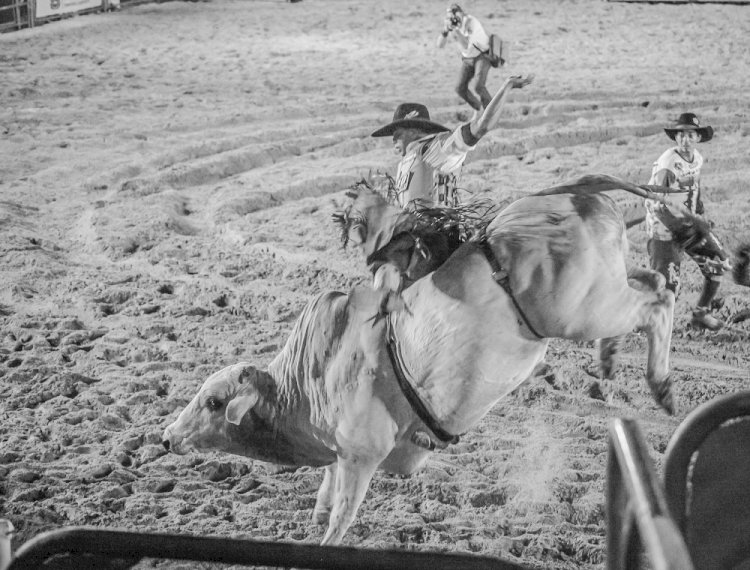 Rodeios voltam a ser liberados em Jaú após nove anos