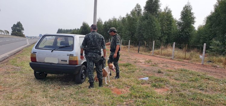 Criminosos abandonam veículo furtado com pitbull dentro em Bauru