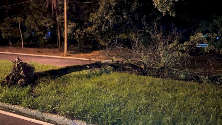 Temporal com granizo causa estragos em Bauru